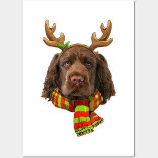 Merry Xmas Sussex Spaniel Dog Christmas Dog Lover Posters and Art